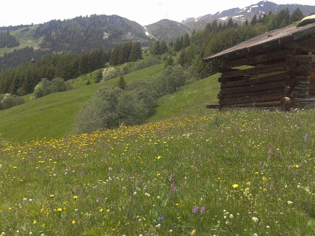 Apart Panoramablick Kaunerberg Bagian luar foto
